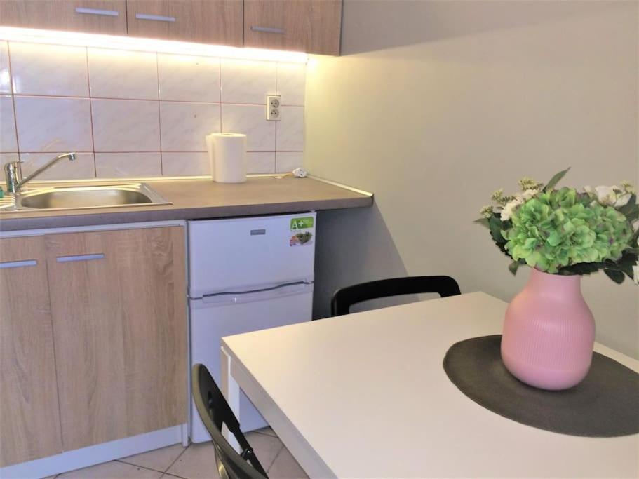 57 Lobzowska Bright Apartment Krasków Εξωτερικό φωτογραφία
